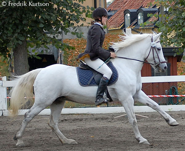 Moflos Victoria RWD 70 (foto © Fredrik Kurtson)