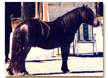 Mercurius nio år