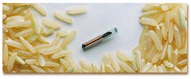 Microchip fr�n Data Mars