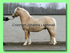 Briolen Sofren 36-0083 (foto &copy; Johanna Lagnevall) 