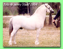 Cuppers Magnum RWM 63 (foto � Jenny Staaf)