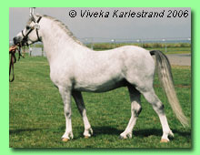 Dyfrdwy Seren-y-Dyffryn 36-0075 (foto &copy; Viveka Karlestrand))