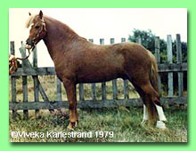 Ekb�ckens Epos RWM 20 (foto �&nbsp;Viveka Karlestrand)