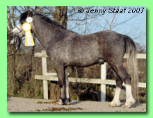 Ekb&auml;ckens Jack Frost 36-0090 (foto &copy; Jenny Staaf)