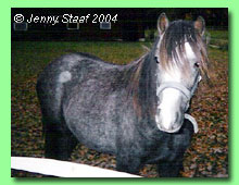 Ekb&auml;ckens Juggler 36-0085 (foto &copy; Jenny Staaf)