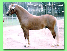 Exzentrics Nougat (foto � Jenny Staaf)