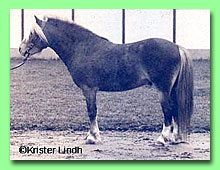 Johannes RWM 11 (foto  Krister Lindh)