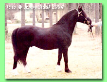 Lanners Blackberry RWM 64 (foto � Jenny Staaf)