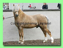 Linners Nimbus 36-0079 (foto &copy; Johanna Lagnevall)