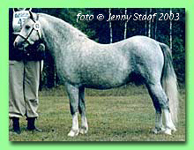 M�lby Mei Yen RWM 60 (foto � Jenny Staaf)