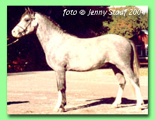 Molstabergs Leonardo RWM 65 (foto � Jenny Staaf)