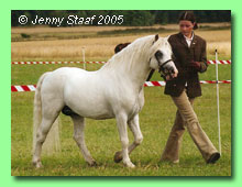Moondelight Idefix 36-0086 (foto &copy; Jenny Staaf)