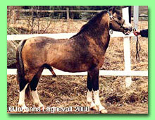 Revel Sovereign RWM 52 (foto � Johanna Lagnevall)