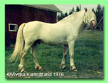 Snowdon Blighter RWM 1 (foto  Viveka Karlestrand)