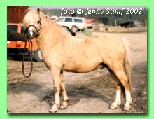 Twilight Mystic 36-0081 (foto &copy; Jenny Staaf)