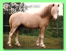 Val-d-is�re (foto � Jenny Staaf)