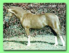 Vardra Santos RWM 62 (foto � Jenny Staaf)