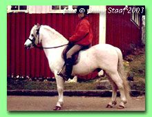 Verdrefawr Owain RWM 44 (foto � Jenny Staaf