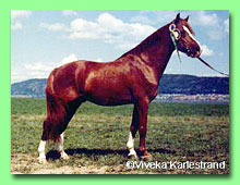 Chivas Regal RW 58 (foto  Viveka Karlestrand)