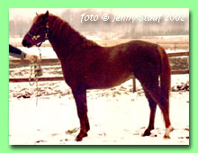 Downland Wild Fowler RW 117 (foto � Jenny Staaf)