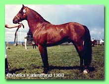 Fagers Eros RW 43 (foto  Viveka Karlestrand)