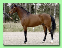 Sianwood Accolade 35-0153 (foto � Jenny Staaf)