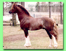 Colneyvalley Rasgall RWC 5 (foto � Jenny Staaf)