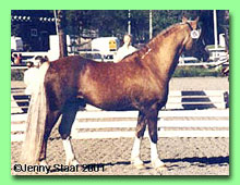 Fourwinds Flashjack 42-0020 (foto &copy; Jenny Staaf)