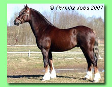 Ias Comed Hedegog 42-0013 (foto &copy; Pernilla Jobs)