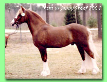 Talyllyn Abel RWC 7 (foto � Jenny Staaf)