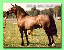 Broughton Replica RWD 13 (foto ��Jenny Staaf)