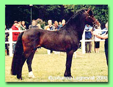 Burhults Junior RWD 7 (foto � Johanna Lagnevall)