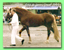 Cippyn Red Crusader RWD 5 (foto � Jenny Staaf)