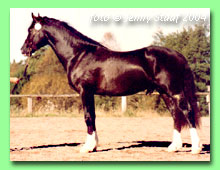 Derwen Gladstone RWD 21 (foto � Jenny Staaf)