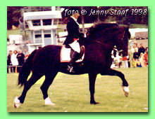 Derwen Tennessee Express RWD 3 (foto � Jenny Staaf)