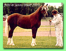 Fjordglimt Sir Thomson RWD 17 (foto � Jenny Staaf)