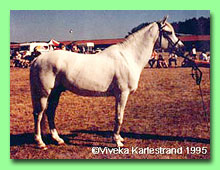 Ekelunds Jim RWR 4 (foto  Viveka Karlestrand)