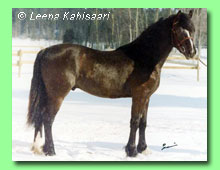 Brudvik Dewin 10 WD (foto &copy; Leena Kahisaari)